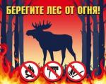 В Петербурге продолжает действовать противопожарный режим
