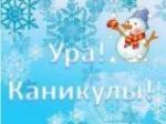 Зимние каникулы – 2015/2016