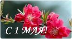 С Праздником весны и труда!