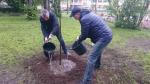 На ул.Антоновской, д.14/2 высадили красные клены