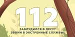 Отправляясь в лес, помните о правилах безопасности!
