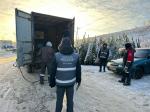 Комитет по контролю за имуществом Санкт-Петербурга проверит законность размещения ёлочных базаров в Петербурге
