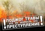 Пал травы