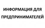 Петербургским предпринимателям доступна помощь через социальный контракт