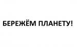 Начало сезона размножения нерп и тюленей: как поступить при обнаружении детеныша?
