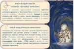 Центр социальной помощи семье и детям Калининского района напоминает, какой вред приносят человеку наркотики