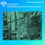 Росреестр Петербурга: заброшенных участков станет меньше