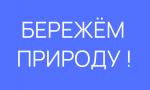 Простые правила законной рубки зеленых насаждений