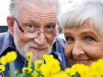 Новые правила исчисления трудовой пенсии по старости: основные принципы и положения
